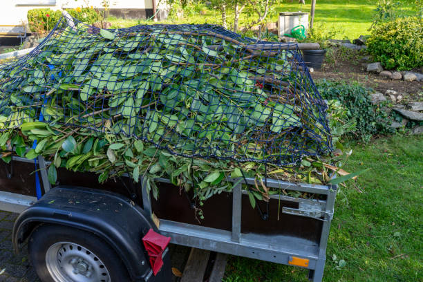 Best Shed Removal  in Allendale, CA